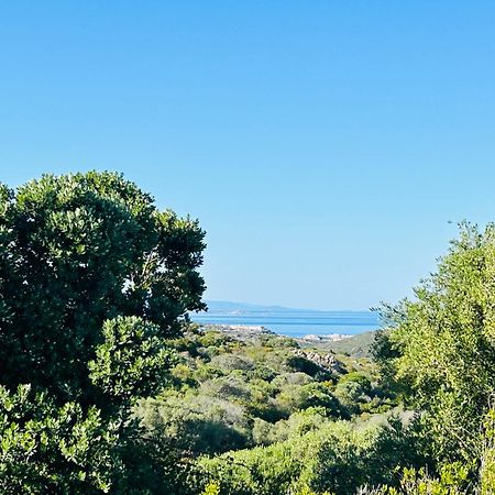 Villa Vela Marina Santa Teresa Gallura Exterior photo